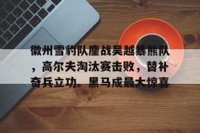 九游体育-徽州雪豹队鏖战吴越暴熊队，高尔夫淘汰赛击败，替补奇兵立功。黑马成最大惊喜的简单介绍